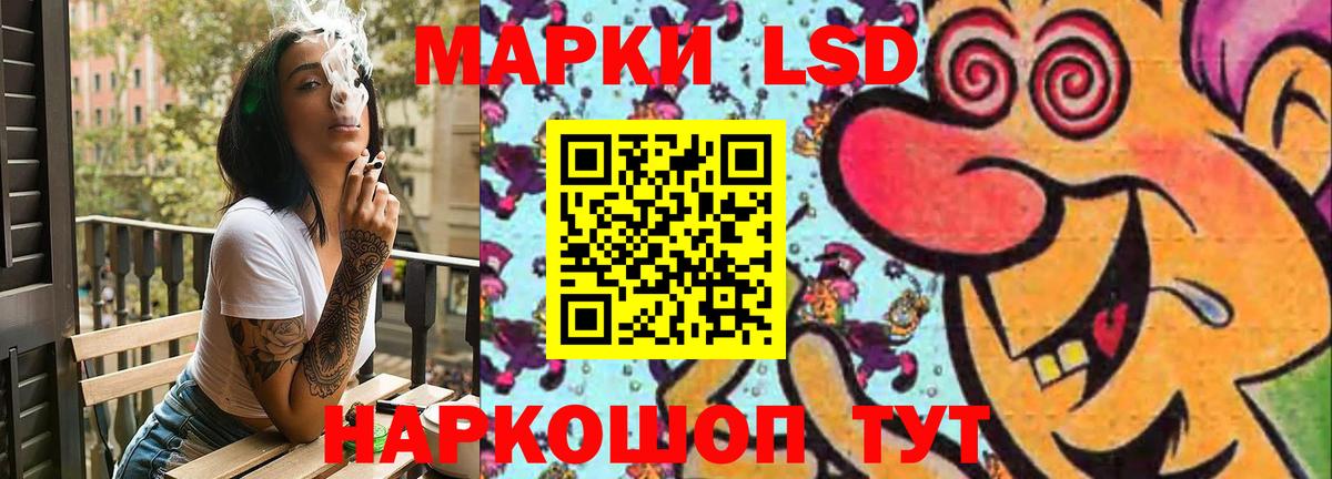 Бошки Шишки Краснокаменск